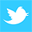 Twitter Social Icon